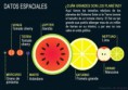 /album/fotogaleria/planetasfrutas01-640x451-jpg/